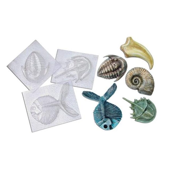 Roylco Roylco R52002 Roylco Fossil Molds 5 designs R52002 - main